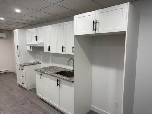 Logement - 10A  - 10C Rue De L'Église, Saint-Damien-De-Buckland, QC 