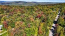 Photo aérienne - Ch. Bellevue, Sainte-Anne-Des-Lacs, QC 