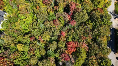 Photo aérienne - Ch. Bellevue, Sainte-Anne-Des-Lacs, QC 