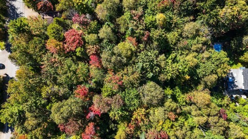 Photo aérienne - Ch. Bellevue, Sainte-Anne-Des-Lacs, QC 