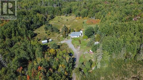 1123 Regional Road 10, Whitefish, ON 