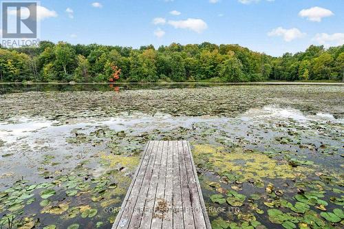 813 Pierce'S Lane, Leeds And The Thousand Islands, ON 