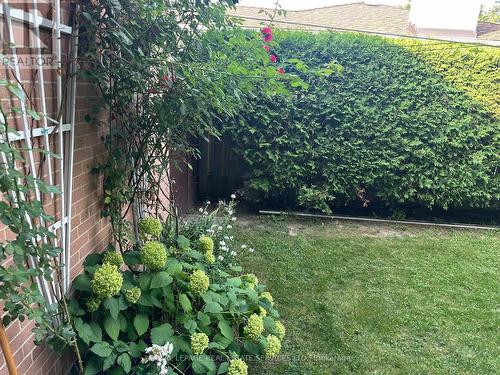 1434 Thorndyke Crescent, Mississauga, ON 