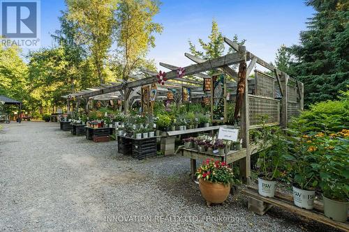 594 Rae Road, Mississippi Mills, ON 