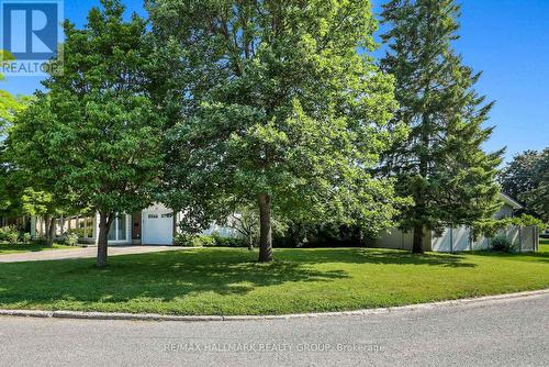 37 Lyall Street, Ottawa, ON 