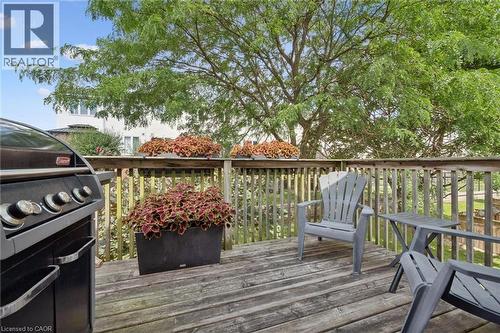 Expansive wood deck with a built-in wood railing, surrounded by mature trees - 54 Green Valley Drive Unit# 13, Kitchener, ON 