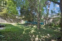 Sloped backyard with mature trees, a wooden fence, and a multi-level wooden deck structure - 