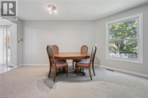 Spacious room featuring light gray walls, light gray carpet, and a large window with white trim - 512 Thorndale Drive, Waterloo, ON 