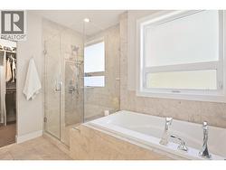 Shower and soaker tub - 