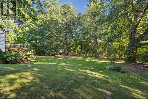Expansive green lawn surrounded by mature trees, featuring a raised deck with glass railings and a natural rock landscaping element - 282 Concession Rd 2, Scotland, ON 