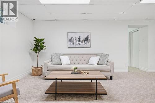 Carpeted flooring, white walls, and a drop ceiling - 4159 Spruce Avenue, Burlington, ON 