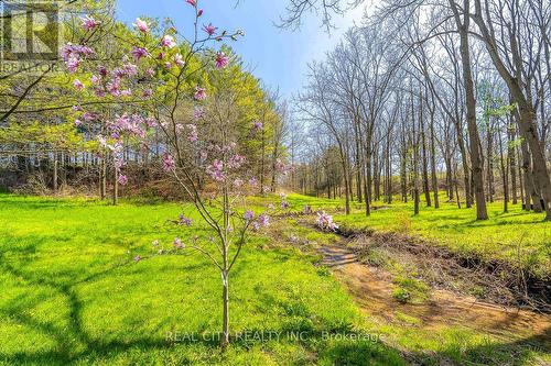 47 River Road, Brantford, ON 