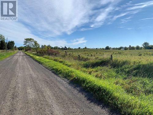 Pt Lt 19 Con 4 County Rd 8, Greater Napanee (Greater Napanee), ON 
