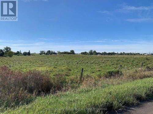 Pt Lt 19 Con 4 County Rd 8, Greater Napanee (Greater Napanee), ON 