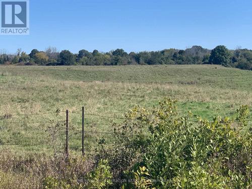 Pt Lt 19 Con 4 County Rd 8, Greater Napanee (Greater Napanee), ON 