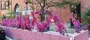 Th1 - 75 St Nicholas Street, Toronto, ON 