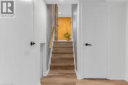 Modern staircase featuring wood-finish treads and a light wood handrail - 