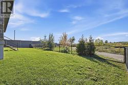 Backyard - 