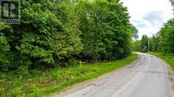 1148 MT ST PATRICK ROAD Admaston/Bromley, ON K7V 3Z7