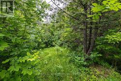 Meander in - 