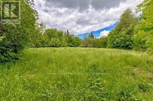 Nice cleared area for your build - 1148 Mt St Patrick Road, Admaston/Bromley, ON 