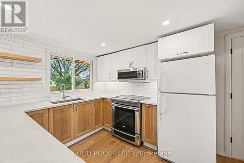 Quartz counters + inductions stove/oven. - 236 Campbell Drive N, Mcnab/Braeside, ON 