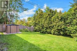 Backyard - 