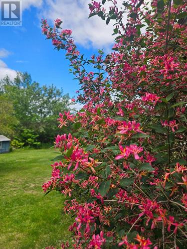 400 Buttermilk Hill Road, Drummond/North Elmsley, ON 