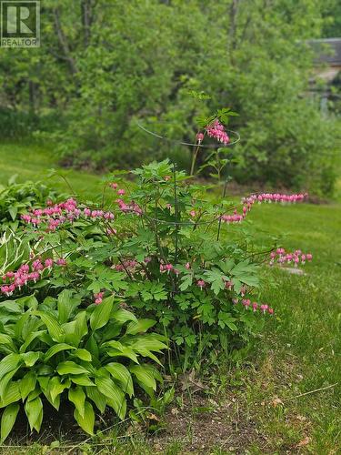 400 Buttermilk Hill Road, Drummond/North Elmsley, ON 