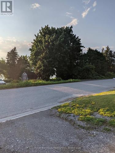 Pathway view from the street - 127 Coleman Crescent, Scugog, ON 