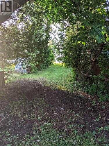 Pathway view - 127 Coleman Crescent, Scugog, ON 