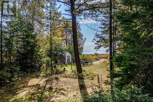 100 Nottawaga Drive, Tiny, ON 