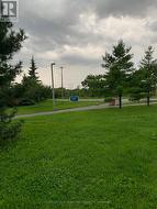 Walk the dog in the neighbouring park - 