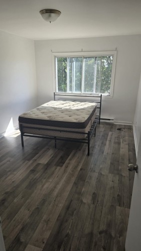 8153 Rue de l'Aunis , Montréal (Saint-Léonard), QC H1R 2M8 4