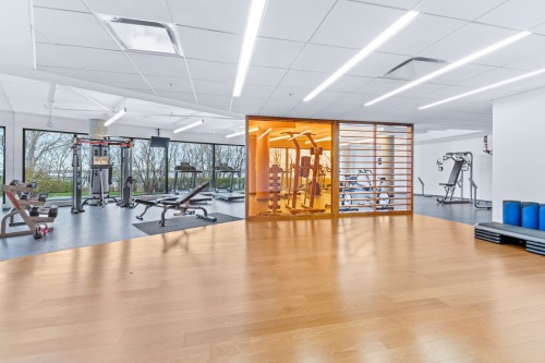 Salle d'exercice - 1805-299 Rue De La Rotonde, Montréal (Verdun/Île-Des-Soeurs), QC 