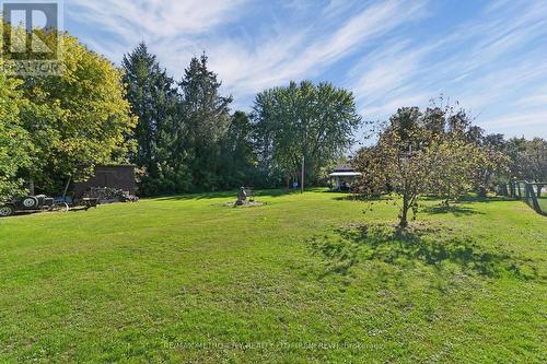 2328 Kerr Line, Whitewater Region, ON 