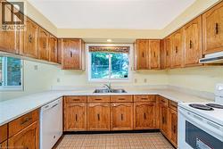 Kitchen featuring wood-finish cabinetry, light-colored countertops, a double basin sink, and white appliances - 