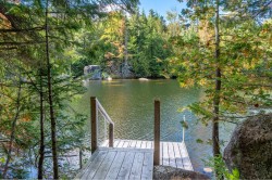 Bord de l'eau - 