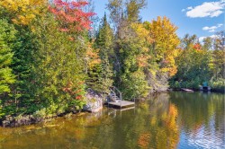 Bord de l'eau - 