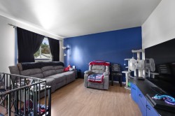 Salon - 