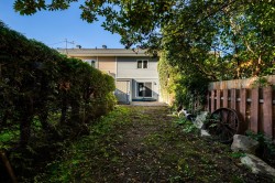 Cour - 
