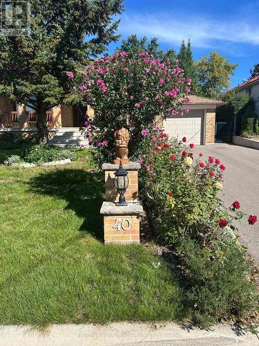 40 Datchet Road, Toronto, ON 