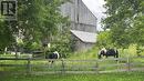 3362 Ferguson Road, Hamilton Township, ON 