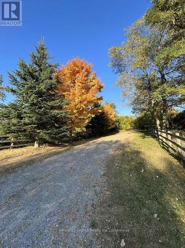 3362 Ferguson Road, Hamilton Township, ON 