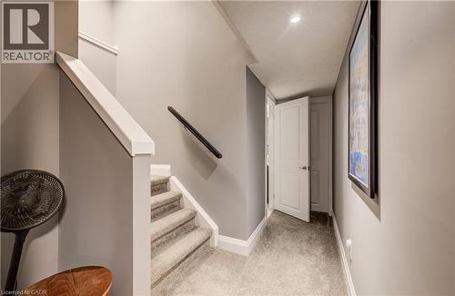 Staircase with carpeted treads, white newel post, and black wall-mounted handrail - 35 Greyhawk Street, Kitchener, ON 