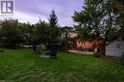 Backyard looking toward the house - 