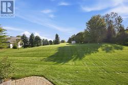 REAR YARD - 