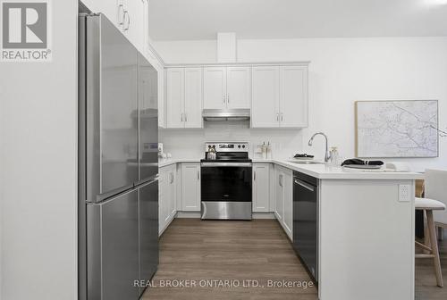 101 - 30 Hamilton Street S, Hamilton, ON 