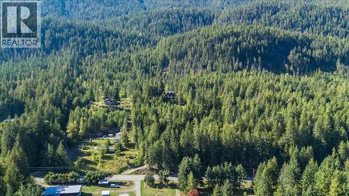 9233 31 Highway, Kaslo, BC 