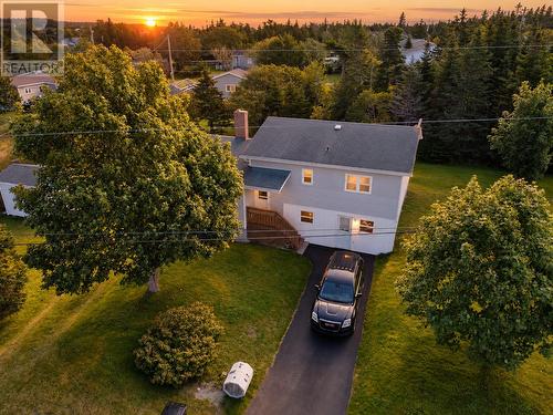 9 Drukens Lane, Portugal Cove-St.Philips, NL 